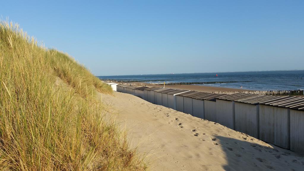 Schelp Bed By The Sea *